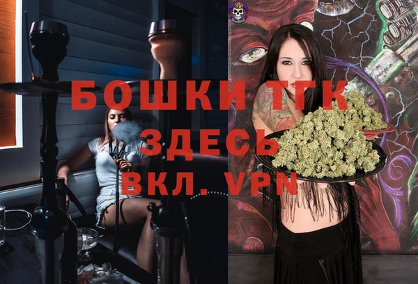 мдпв Новодвинск